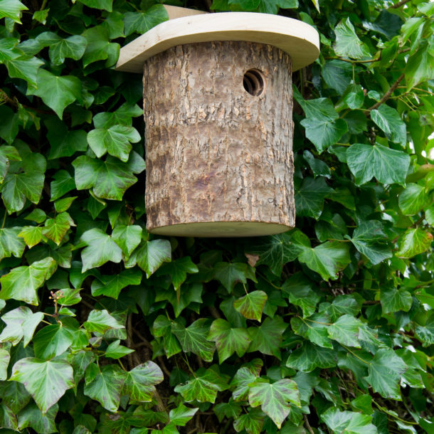 Wild Bird Nest Boxes - Garden Bird Boxes - The Wild Bird Store